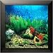 AquaVista AV500TABA Wall-Mounted Aquarium AV 500 Tropical Water Background with Black Frame