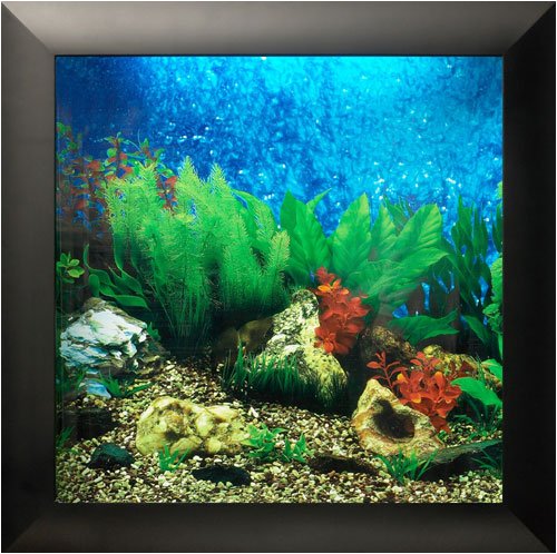 AquaVista AV500TABA Wall-Mounted Aquarium AV 500 Tropical Water Background with Black Frame