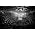 Thumbnail image of The Killers