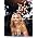 Vignette de Lee Ann Womack