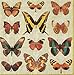 Entertaining with Caspari 12240L Deyrolle Butterflies Napkin Luncheon, Ivory, 20-Pack