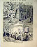 WOMEN GATHERING LEMONS MENTONE MAISON BOTTINI FRANCE