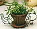 Chamomile Herbal Tea Garden Planter,seeds, and Soil