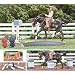 Breyer Stablemates Western Play Set