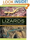 Lizards: Windows to the Evolution of Diversity (Organisms and Environments, 5)