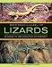Lizards: Windows to the Evolution of Diversity (Organisms and Environments)