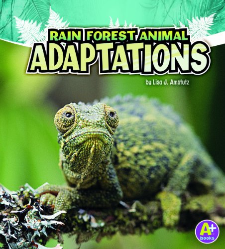 Rain Forest Animal Adaptations (Amazing Animal Adaptations)