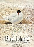 Bird Island : pictures from a shoal of sand