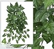 FOUR 36" Artificial Arrow Head (Nephthytis) Hanging Bushes