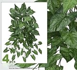 FOUR 36" Artificial Arrow Head (Nephthytis) Hanging Bushes