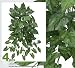 FOUR 36" Artificial Arrow Head (Nephthytis) Hanging Bushes