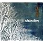 wintersleep