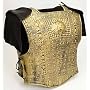 21998 2 Piece Gold Armor Set W 2 Shoulder Fringes