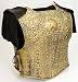 21998 2 Piece Gold Armor Set W 2 Shoulder Fringes