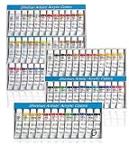 Eigenschaften Shinhan / Professional Acryl Color Farben 12er Set 20 ml