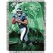 Donovan McNabb #5 Philadelphia Eagles NFL Woven Tapestry Throw Blanket by Northwest (48