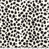 Minky Dalmation