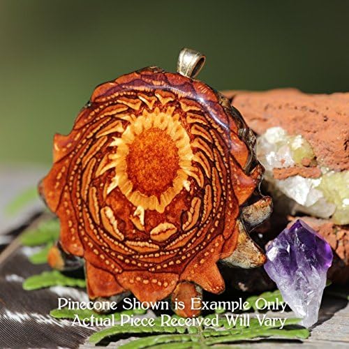 Natural Third Eye Pinecone Pendant