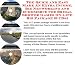 Book The Quick and Easy Make An Extra Income, Biz Networking and eCommerce for Bridal Shower Games On-line Biz Package (3 CDs)