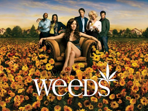 Weeds Cast Members