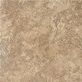 Artea Stone 20 x 20 Field Tile in Cappuccino