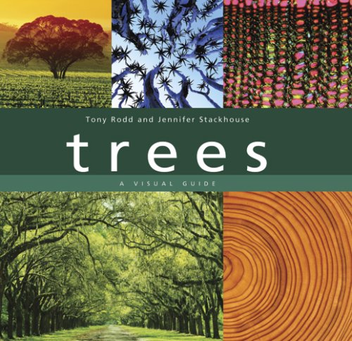 Trees: A Visual Guide under Plants in The Books Store
