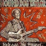 Release the Hound by Hound Dog Taylor