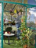IMAGE OF 10x10 Royal Garden Greenhouse with full shelving