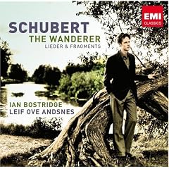The Wanderer