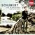 Schubert: The Wanderer