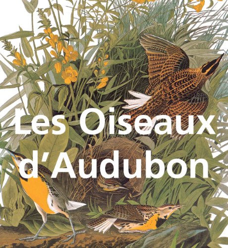Les Oiseaux d'Audubon (French Edition)