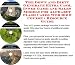 Book The Down and Dirty Generate Extra Cash, Inner Game and Sales Models for Alphabet Flash Cards Web Biz 3 Course + Resource Guide