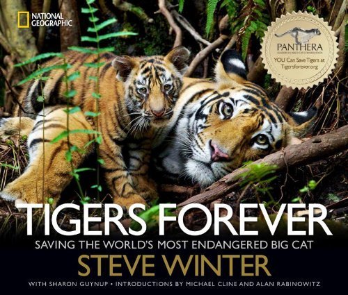 Tigers Forever: Saving the World's Most Endangered Big Cat by Steve Winter (2013-11-12)