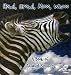 Books : Howl, Growl, Mooo, Whooo, a Book of Animals Sounds (My First Discovery Library)