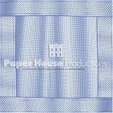 Wizard of Oz Scrapbooking Paper - Blue Gingham Check