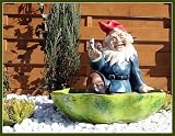 Eigenschaften   / Gartenzwerg in der Schale,Vogeltränke,Katzentränke,Deko