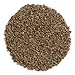 Frontier Celery Seed Whole, 16 Ounce Bags (Pack of 3)