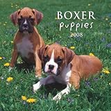 Boxer Puppies 2008 Mini Wall