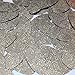 Sequin Oval 1.5