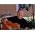 Thumbnail image of Cutting Crew