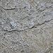 Medium Faux Hollow Rock, Approximately 18