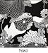 Hooter Hiders Nursing Cover - Yoko