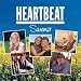 Heartbeat Summer