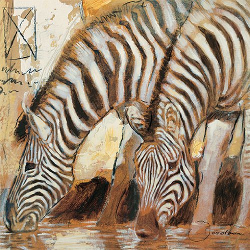 Eurographics JO1377 Joadoor, Dawn 18 x 18 cm, Hochwertiger Kunstdruck - Zebras Preisvergleich