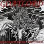 Distorted Birth: The Demos