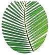 Toilet Tattoos TT-1500-R Palm Frond Design, Round