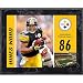 Hines Ward Pittsburgh Steelers 8x10 Color Plaque