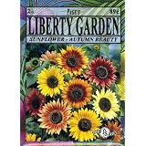 Liberty Garden Sunflower, Autumn Beauty Mix