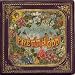 Music : Pretty. Odd
