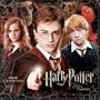 Harry Potter and the Order of the Phoenix: 2008 Wall Calendar